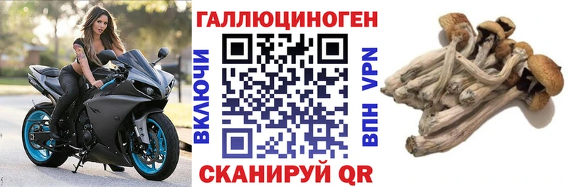 Псилоцибиновые грибы мицелий Дно