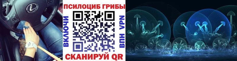 Псилоцибиновые грибы MAGIC MUSHROOMS  купить закладку  Дно 